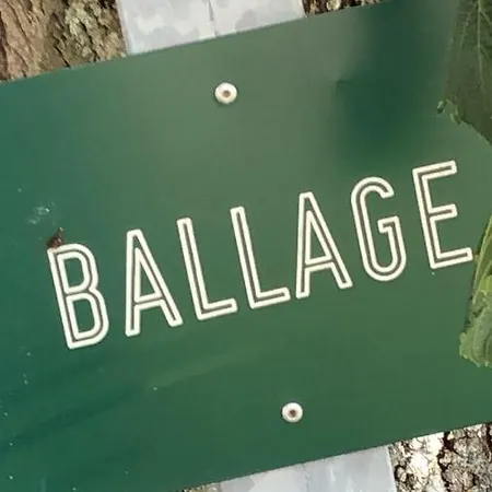 Le Gite De Ballage Chemille-Sur-Deme Buitenkant foto